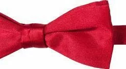 Ascot Schleife 4150400/3